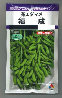 [枝豆]　福成　80ml（およそ180粒）　タキイ種苗（株）     PF