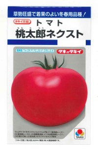 [トマト/桃太郎系]　桃太郎ネクスト 16粒 タキイ種苗（株）　DF　