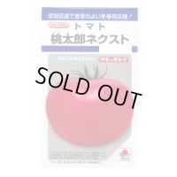 送料無料　[トマト/桃太郎系]　桃太郎ネクスト　16粒　タキイ種苗(株)　DF