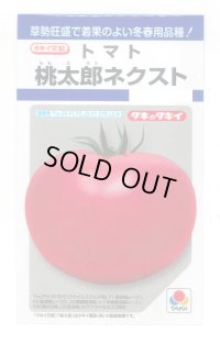 送料無料　[トマト/桃太郎系]　桃太郎ネクスト　16粒　タキイ種苗(株)　DF