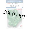 送料無料　[ピーマン]　京みどり　65粒　タキイ種苗(株)　DF