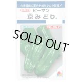 送料無料　[ピーマン]　京みどり　65粒　タキイ種苗(株)　DF