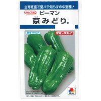 [ピーマン]　京みどり　65粒　タキイ種苗（株）　DF　