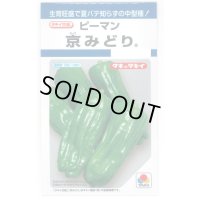 送料無料　[ピーマン]　京みどり　65粒　タキイ種苗(株)　DF