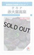 送料無料　[葉物]　赤大葉高菜　3.5ml　タキイ種苗(株)　MF