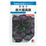 送料無料　[葉物]　赤大葉高菜　3.5ml　タキイ種苗(株)　MF