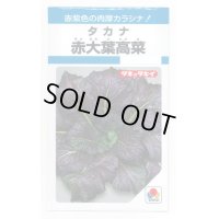 [葉物]　赤大葉高菜　3.5ml　タキイ種苗（株）　MF　
