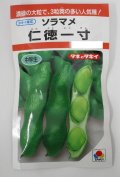送料無料　[そら豆]　仁徳一寸　小袋(およそ11粒)　タキイ種苗RF
