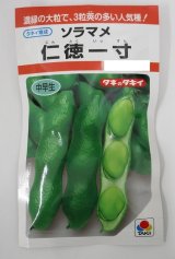 送料無料　[そら豆]　仁徳一寸　小袋(およそ11粒)　タキイ種苗RF