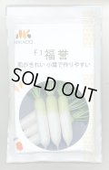 送料無料　大根種　福誉　ペレット5千粒　ヴィルモランみかど