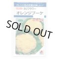 送料無料　[カリフラワー]　オレンジブーケ　0.9m　タキイ種苗(株)　DF