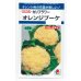 画像1: 送料無料　[カリフラワー]　オレンジブーケ　0.9m　タキイ種苗(株)　DF (1)