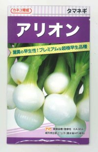 [たまねぎ] アリオン 20ml カネコ種苗（株）