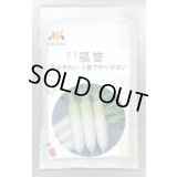 送料無料　大根種　福誉　ヴィルモランみかど