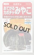 送料無料　[かぼちゃ]　みやこ　およそ7粒　(株)サカタのタネ　実咲450（002873）