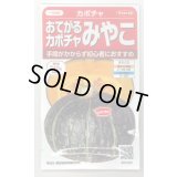 送料無料　[かぼちゃ]　みやこ　およそ7粒　(株)サカタのタネ　実咲450（002873）