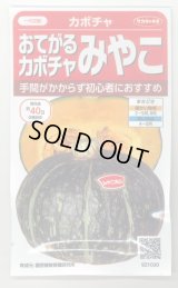 送料無料　[かぼちゃ]　みやこ　およそ7粒　(株)サカタのタネ　実咲450（002873）