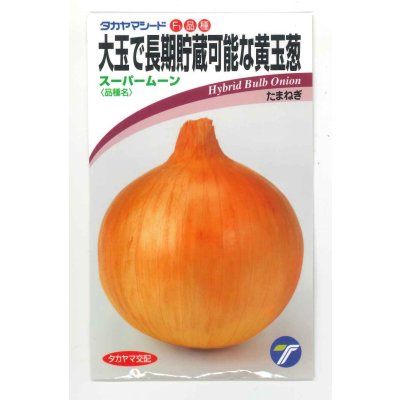 画像1: 送料無料　[たまねぎ]　スーパームーン　3.5ml（約410粒）　(株)タカヤマシード