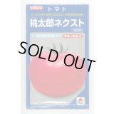送料無料　[トマト/桃太郎系]　桃太郎ネクスト　1000粒　タキイ種苗(株)