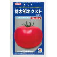 [トマト/桃太郎系]　桃太郎ネクスト 1000粒 タキイ種苗（株）