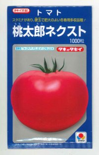 [トマト/桃太郎系]　桃太郎ネクスト 1000粒 タキイ種苗（株）