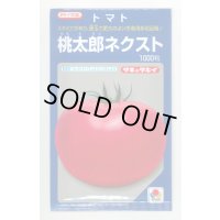 送料無料　[トマト/桃太郎系]　桃太郎ネクスト　1000粒　タキイ種苗(株)