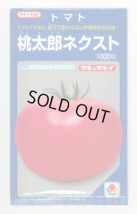 送料無料　[トマト/桃太郎系]　桃太郎ネクスト　1000粒　タキイ種苗(株)