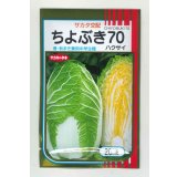 送料無料　[白菜]　ちよぶき70　20ml　（株）サカタのタネ