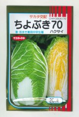 送料無料　[白菜]　ちよぶき70　20ml　（株）サカタのタネ
