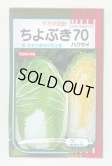送料無料　[白菜]　ちよぶき70　20ml　（株）サカタのタネ