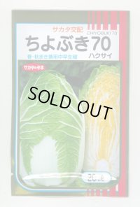 [白菜]　ちよぶき70　20ml　 サカタのタネ