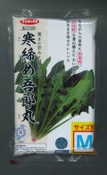 [ほうれんそう]　寒締め吾郎丸　種子サイズM　3万粒　（株）サカタのタネ
