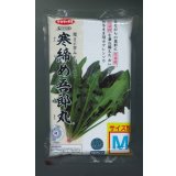 [ほうれんそう]　寒締め吾郎丸　種子サイズM　3万粒　（株）サカタのタネ