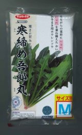 [ほうれんそう]　寒締め吾郎丸　種子サイズM　3万粒　（株）サカタのタネ