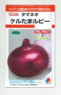 送料無料　[たまねぎ]　ケルたまルビー　1.8ml　タキイ種苗(株)RF