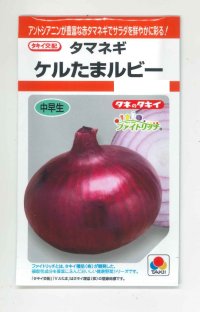 送料無料　[たまねぎ]　ケルたまルビー　1.8ml　タキイ種苗(株)RF