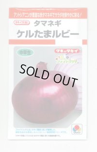 送料無料　[たまねぎ]　ケルたまルビー　1.8ml　タキイ種苗(株)RF