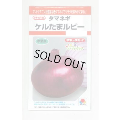 画像1: 送料無料　[たまねぎ]　ケルたまルビー　1.8ml　タキイ種苗(株)RF