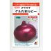 画像1: 送料無料　[たまねぎ]　ケルたまルビー　1.8ml　タキイ種苗(株)RF (1)