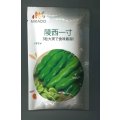 送料無料　[そら豆]　陵西一寸　23粒　ヴィルモランみかど（株）