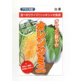 送料無料　[白菜]　オレンジミニ　小袋　(株)アサヒ農園
