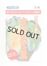 送料無料　[白菜]　オレンジミニ　小袋　(株)アサヒ農園