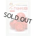 送料無料　[トマト]　大玉トマト　TYみそら109　100粒　ヴィルモランみかど