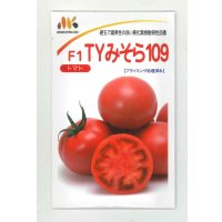 送料無料　[トマト]　大玉トマト　TYみそら109　100粒　ヴィルモランみかど（株）
