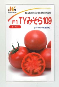 [トマト]　大玉トマト　TYみそら109　100粒　ヴィルモランみかど
