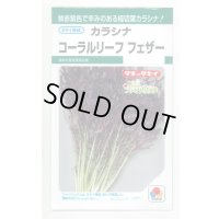 送料無料　からしな　コーラルリーフフェザー　6ml　タキイ種苗(株)GF