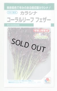 送料無料　からしな　コーラルリーフフェザー　6ml　タキイ種苗(株)GF