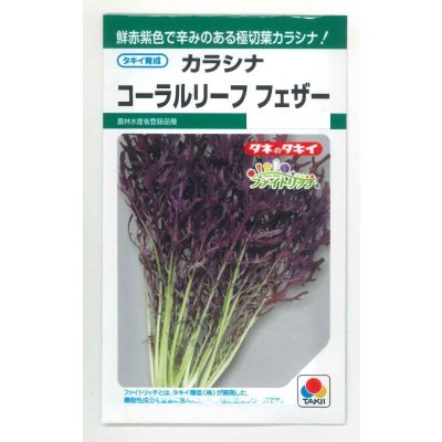 画像1: 送料無料　[葉物]　からしな　コーラルリーフフェザー　6ml　タキイ種苗(株)GF