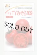送料無料　[トマト]　大玉トマト　TYみそら109　1000粒　ヴィルモランみかど