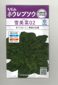 送料無料　[ほうれんそう]　雪美菜02　30ml　(およそ900粒)　雪印種苗(株)